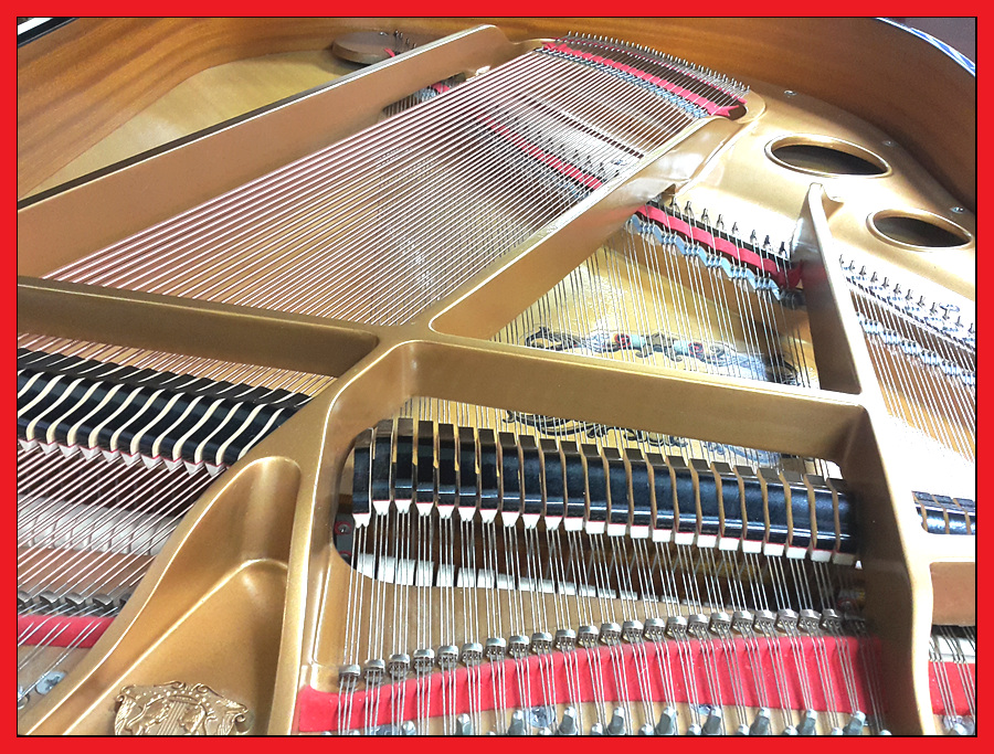 e4924e226a4df724282a2d1f7e4041af_1504347941_1423.jpg e4924e226a4df724282a2d1f7e4041af_1504347