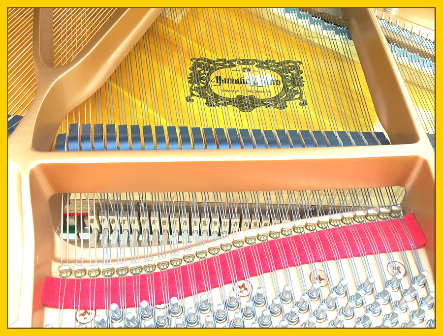 e4924e226a4df724282a2d1f7e4041af_1504350674_5486.jpg e4924e226a4df724282a2d1f7e4041af_1504350