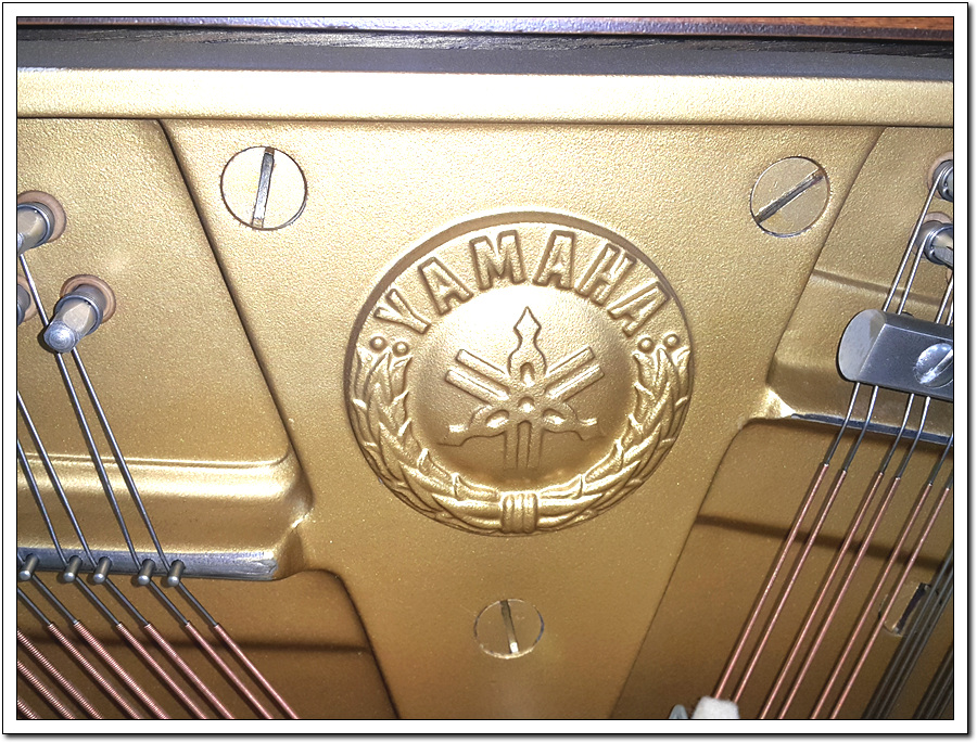 e4924e226a4df724282a2d1f7e4041af_1504360