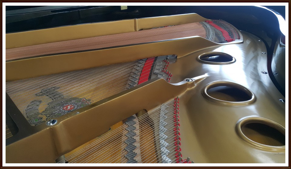 03ea86d88076fecd623d5c53e291007d_1504243