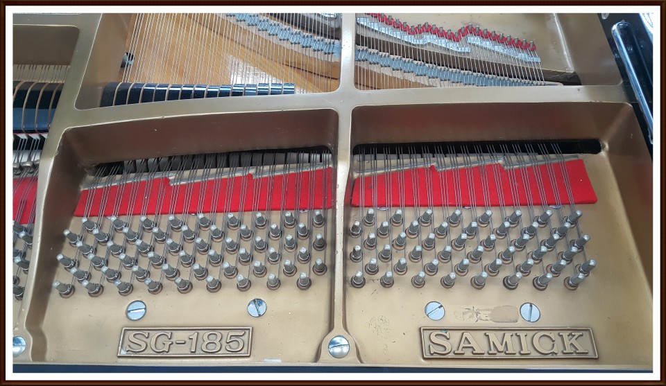 03ea86d88076fecd623d5c53e291007d_1504243