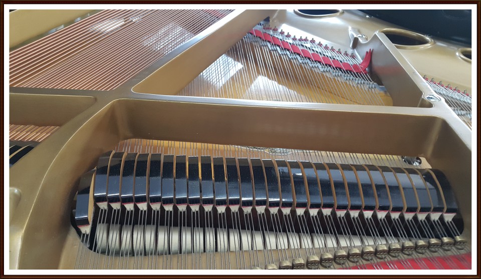 03ea86d88076fecd623d5c53e291007d_1504243