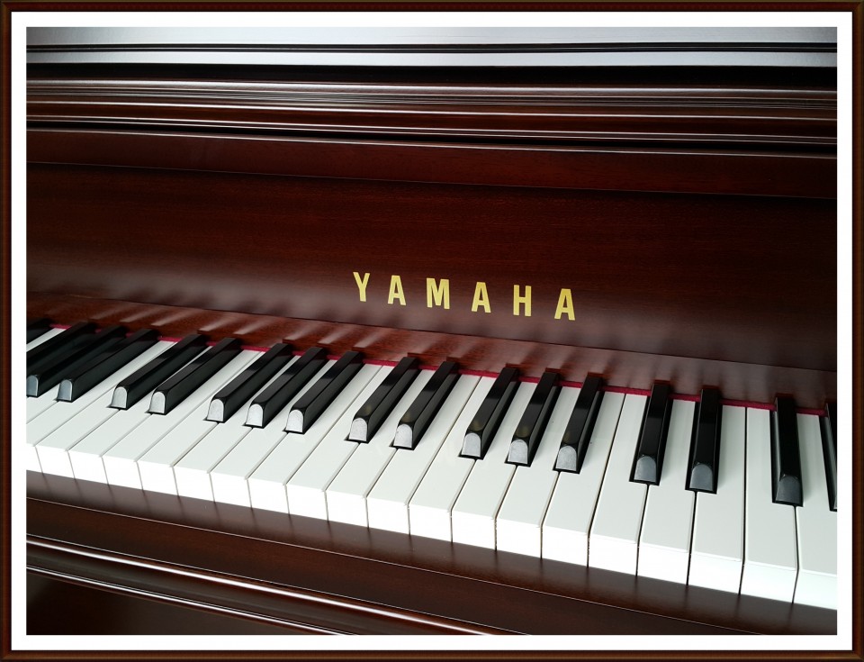 14569a139f8624bb1bd3d5df40436a89_1504528