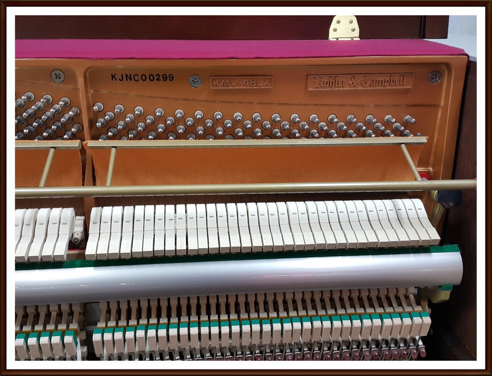 14569a139f8624bb1bd3d5df40436a89_1504530