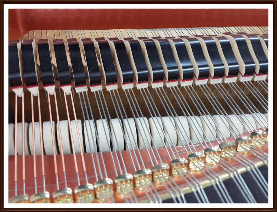 3acf15897e8bd8867d860bb969a5f68d_1505564