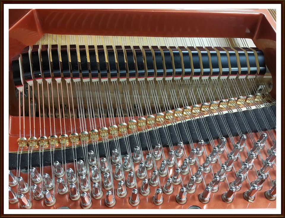 3acf15897e8bd8867d860bb969a5f68d_1505564