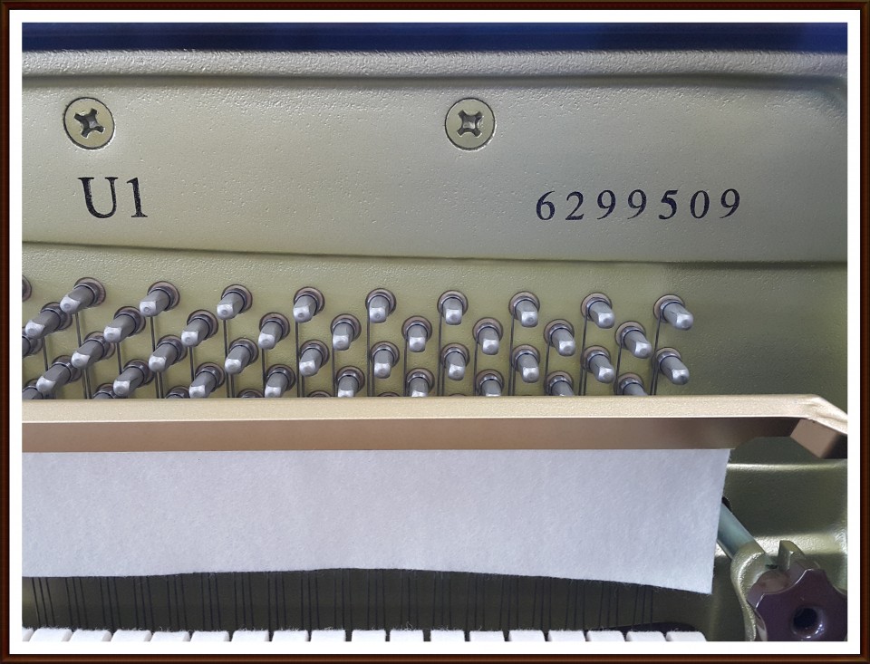 47caedfd103e1ad294b9fcfa2a302687_1505741