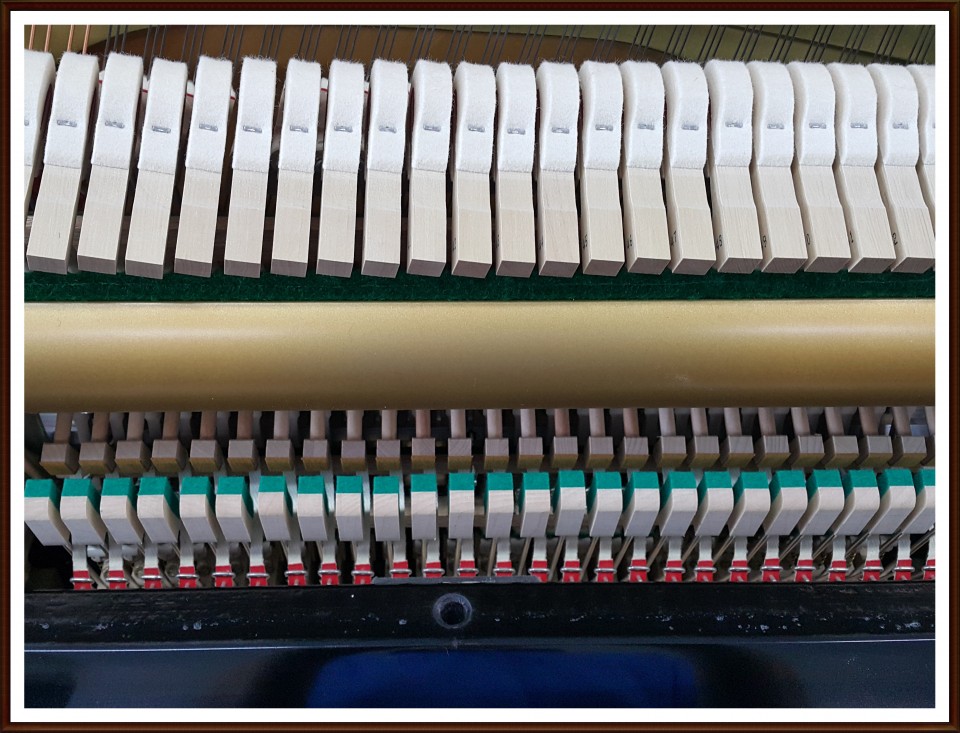 47caedfd103e1ad294b9fcfa2a302687_1505741