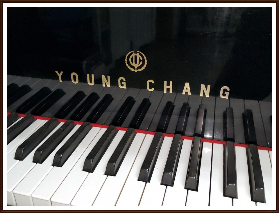 5cc41393dced5ca65d672caa17ac70ac_1505001