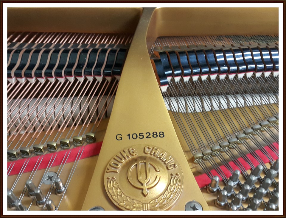 5cc41393dced5ca65d672caa17ac70ac_1505001