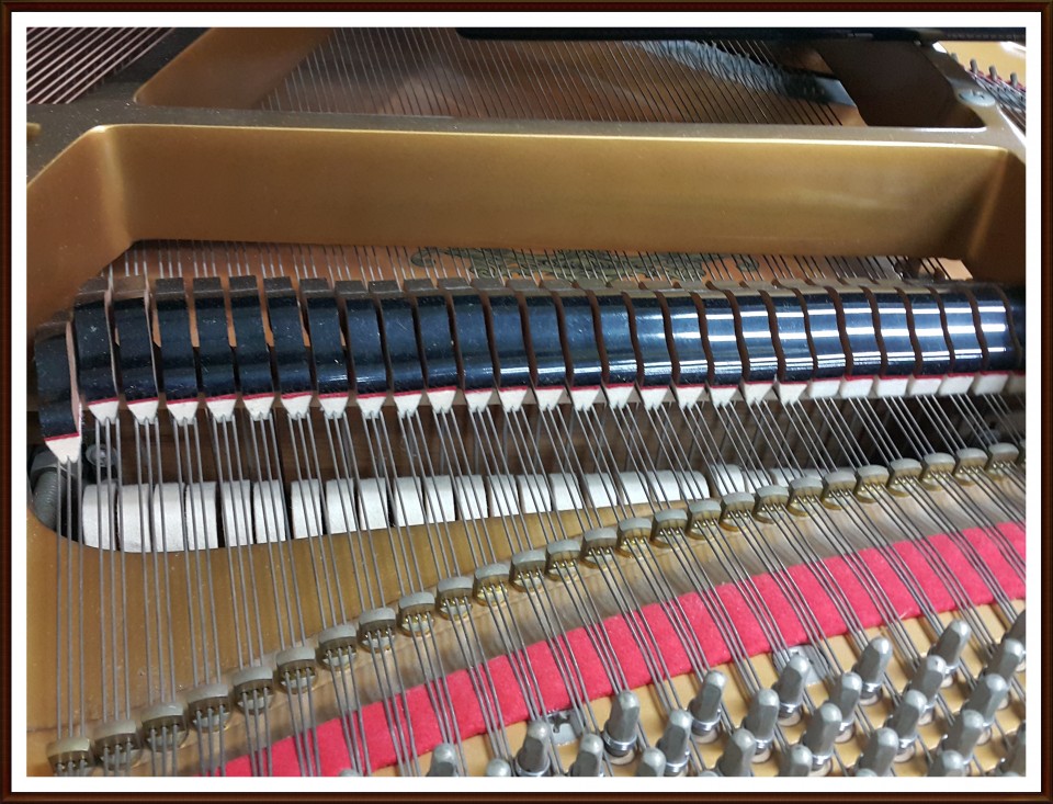 5cc41393dced5ca65d672caa17ac70ac_1505001