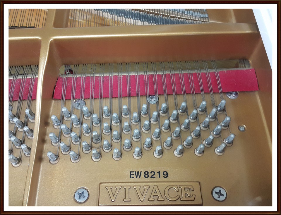 5cc41393dced5ca65d672caa17ac70ac_1505003