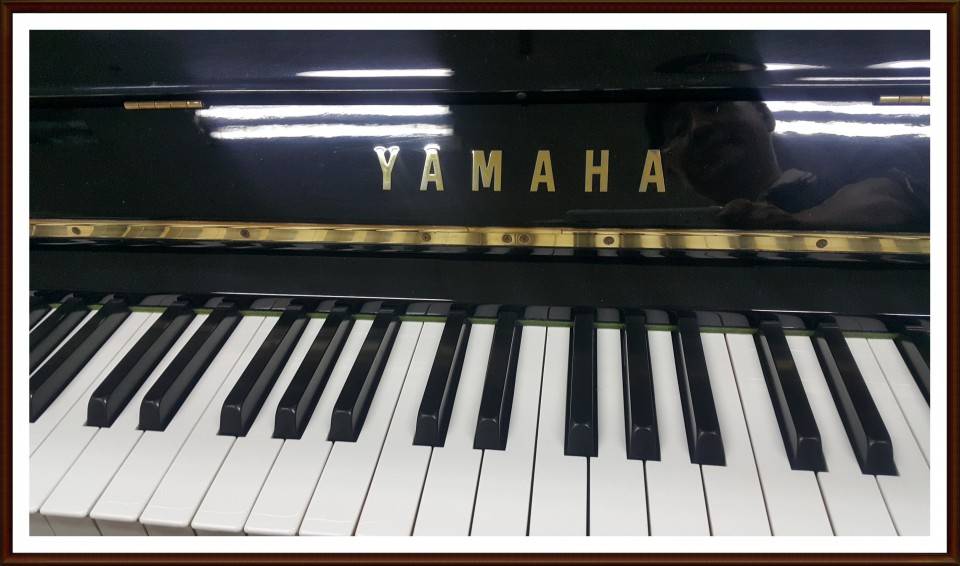 5cc41393dced5ca65d672caa17ac70ac_1505004