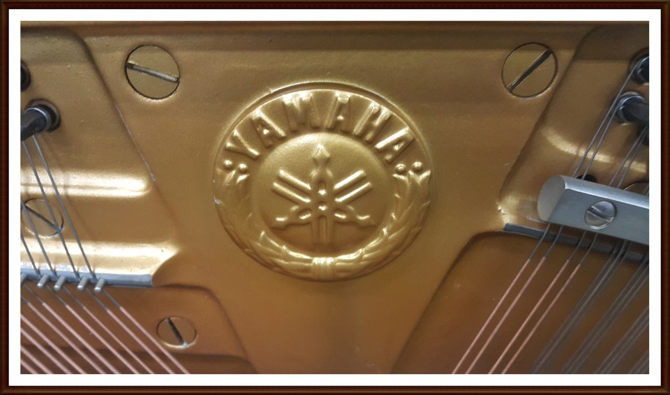 5cc41393dced5ca65d672caa17ac70ac_1505004