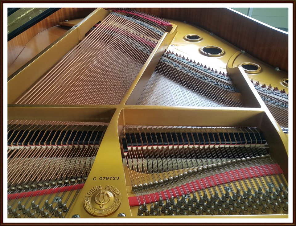 781001aff14fc1d678a11f911fc06afa_1506601