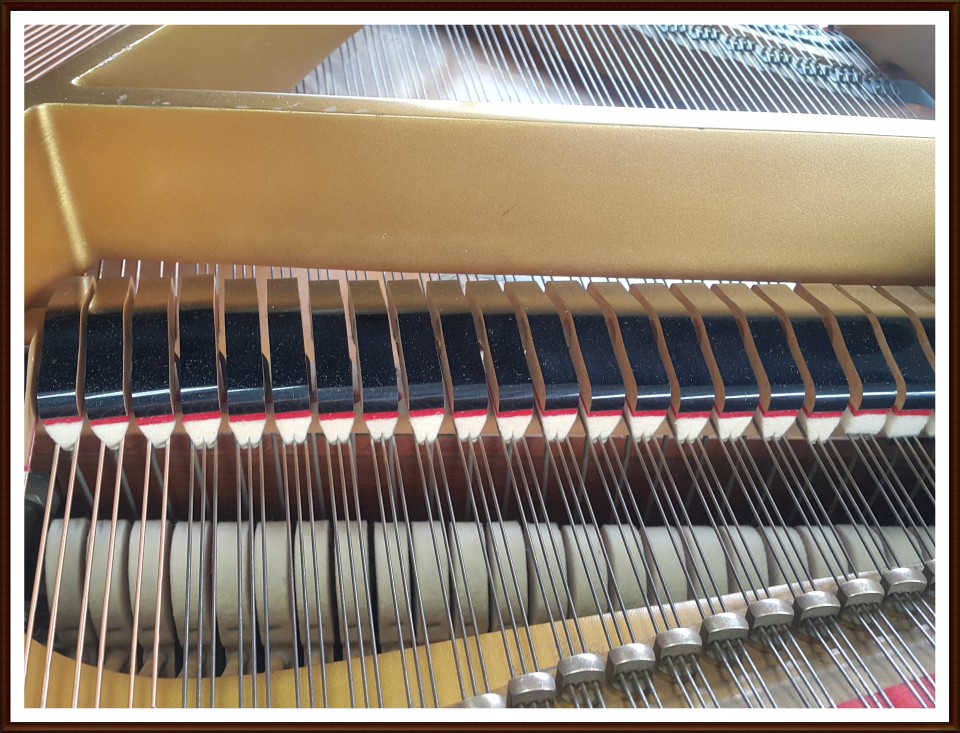 781001aff14fc1d678a11f911fc06afa_1506601