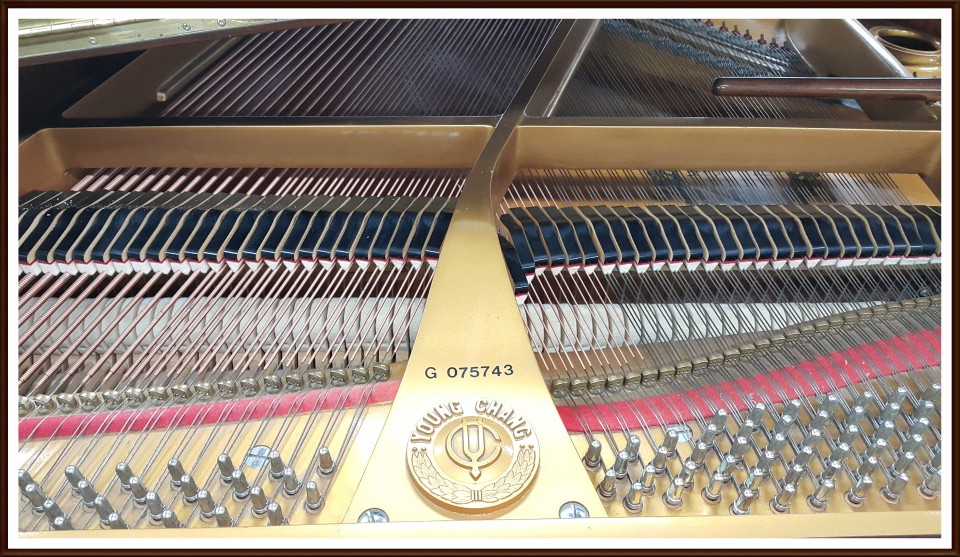 98e6958f9e4ef8eb70328d5eabc9b99c_1504238