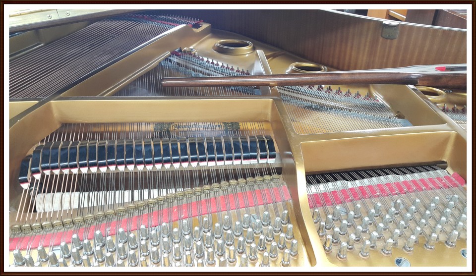 98e6958f9e4ef8eb70328d5eabc9b99c_1504238