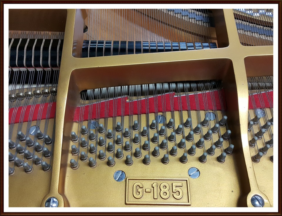 e4924e226a4df724282a2d1f7e4041af_1504352