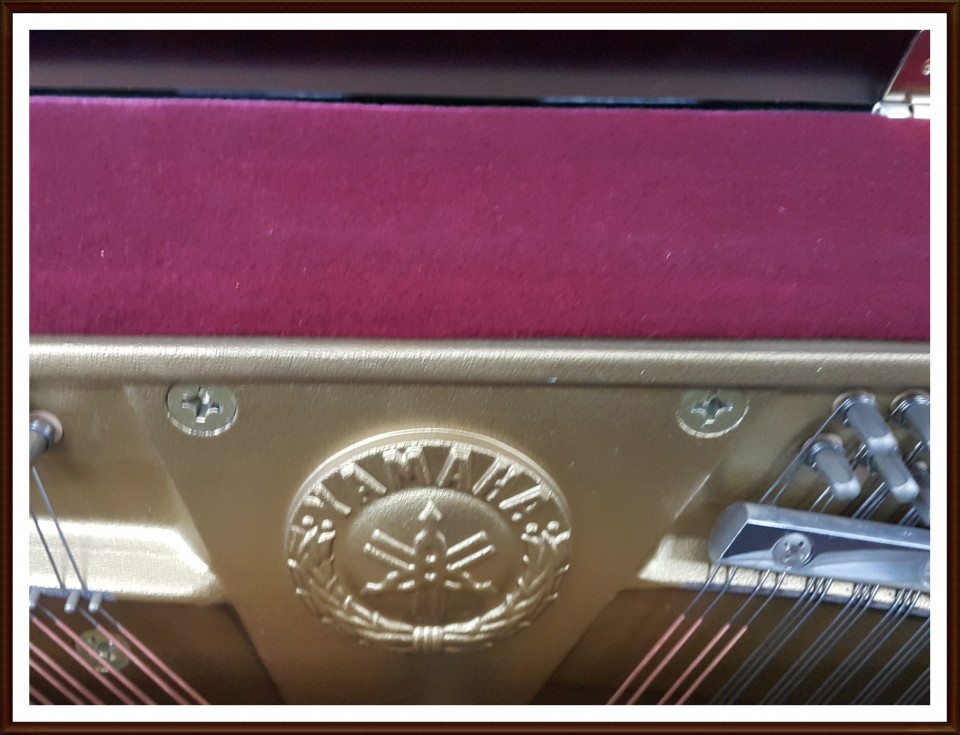 e4924e226a4df724282a2d1f7e4041af_1504358