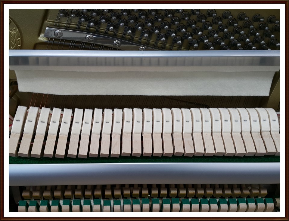 e4924e226a4df724282a2d1f7e4041af_1504362