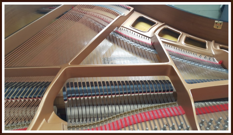 ed66538aada5ff441a50a4ca33f7b577_1504702