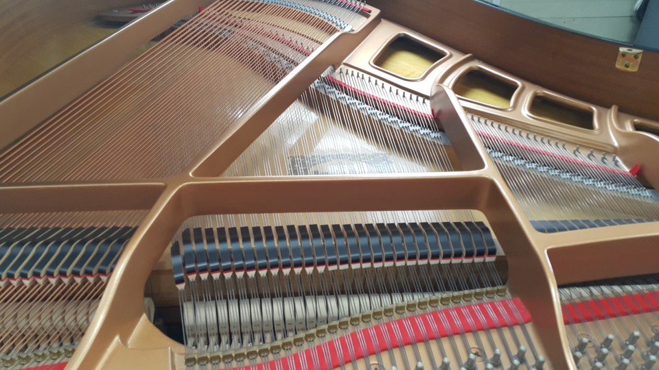 ed66538aada5ff441a50a4ca33f7b577_1504702