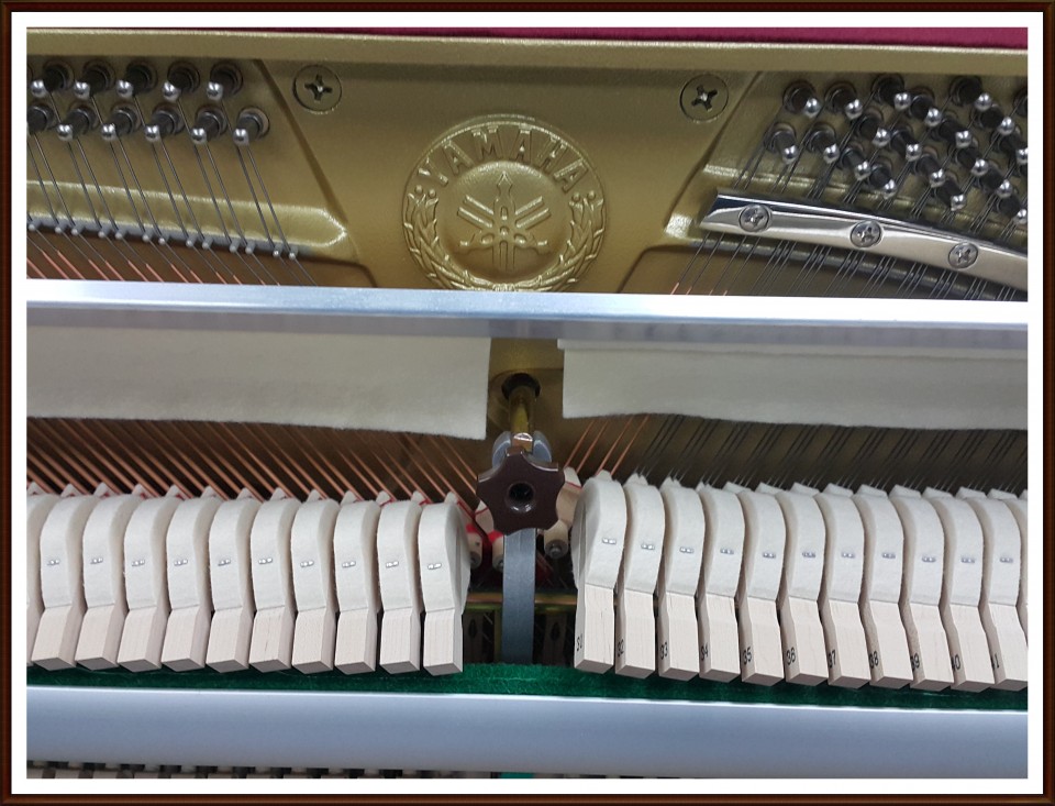 2fb31ea31e3bb957af9d4afb9fd87aff_1507896