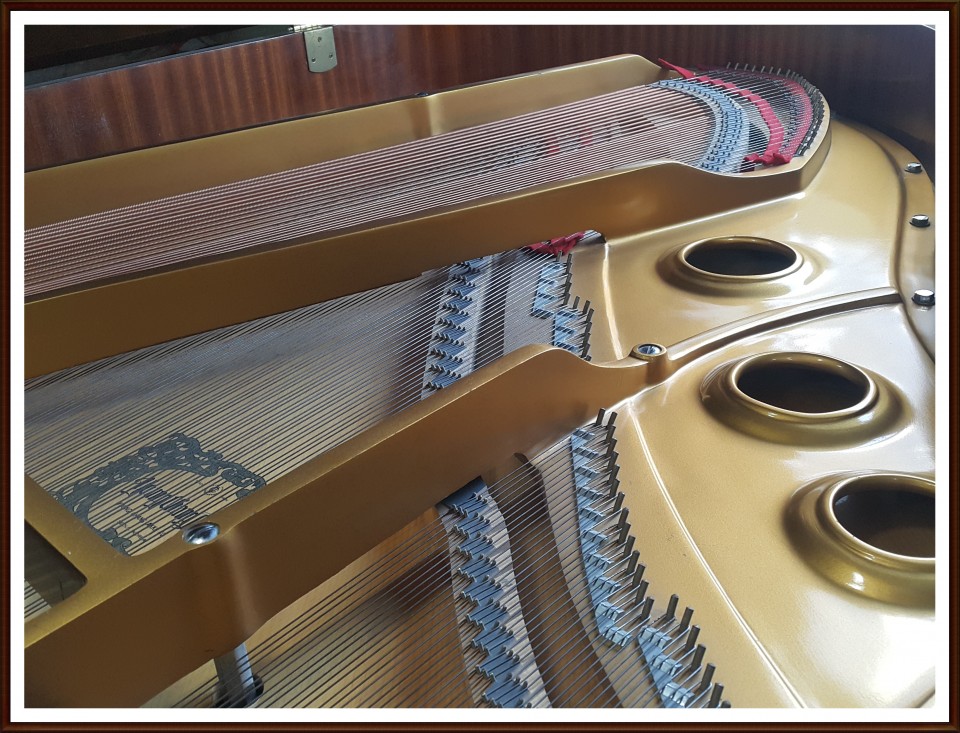 914237ed938d15c023840ecc659e4fb0_1508240