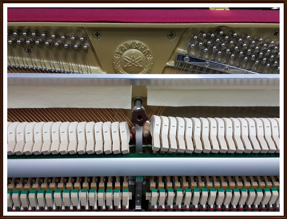 6679bcb025e72d3d9dcbfefe29e224b9_1515669