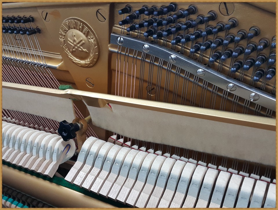 623eeceb87a88e8be328623ece1422ff_1517283