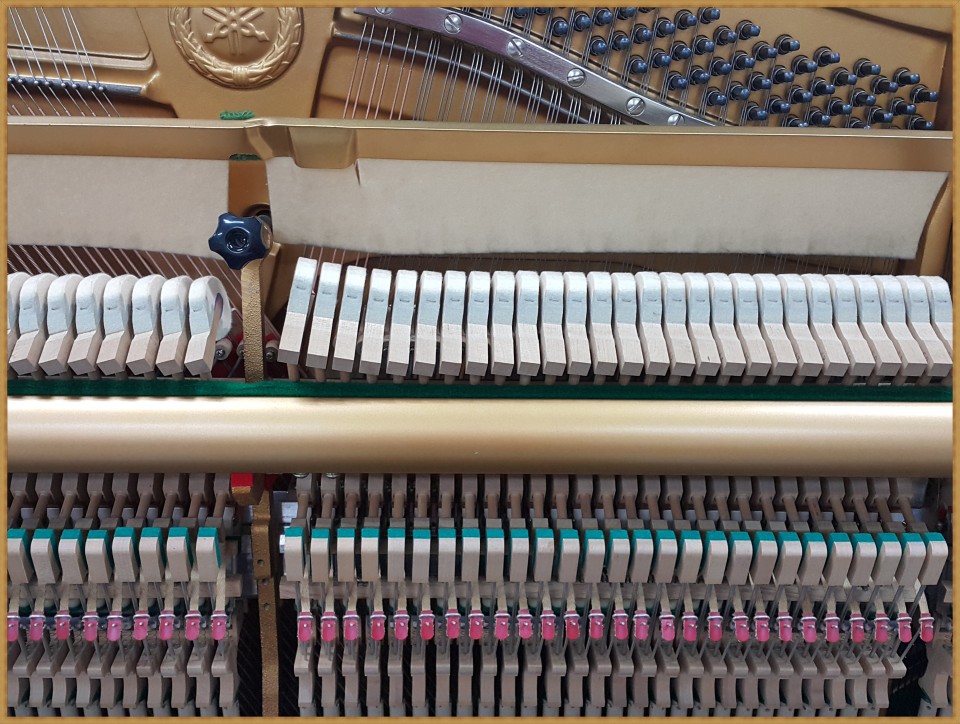 623eeceb87a88e8be328623ece1422ff_1517283