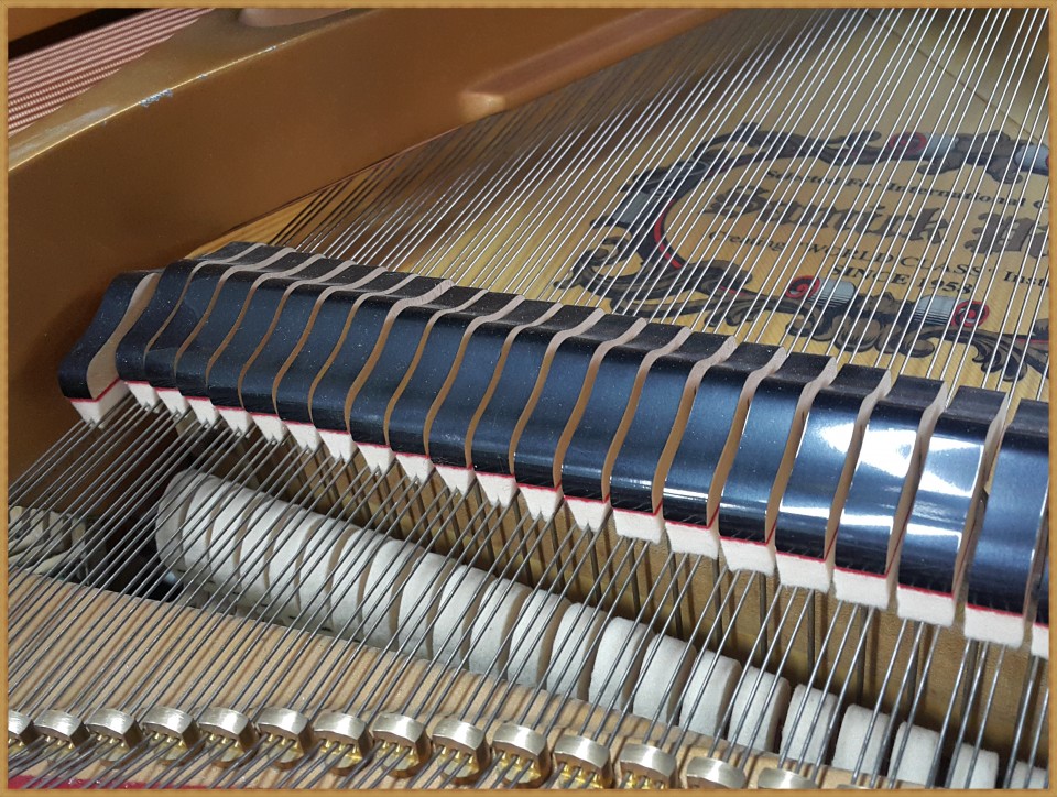 4f5588daa76bf77b1edfa7ccb60e38e3_1522487