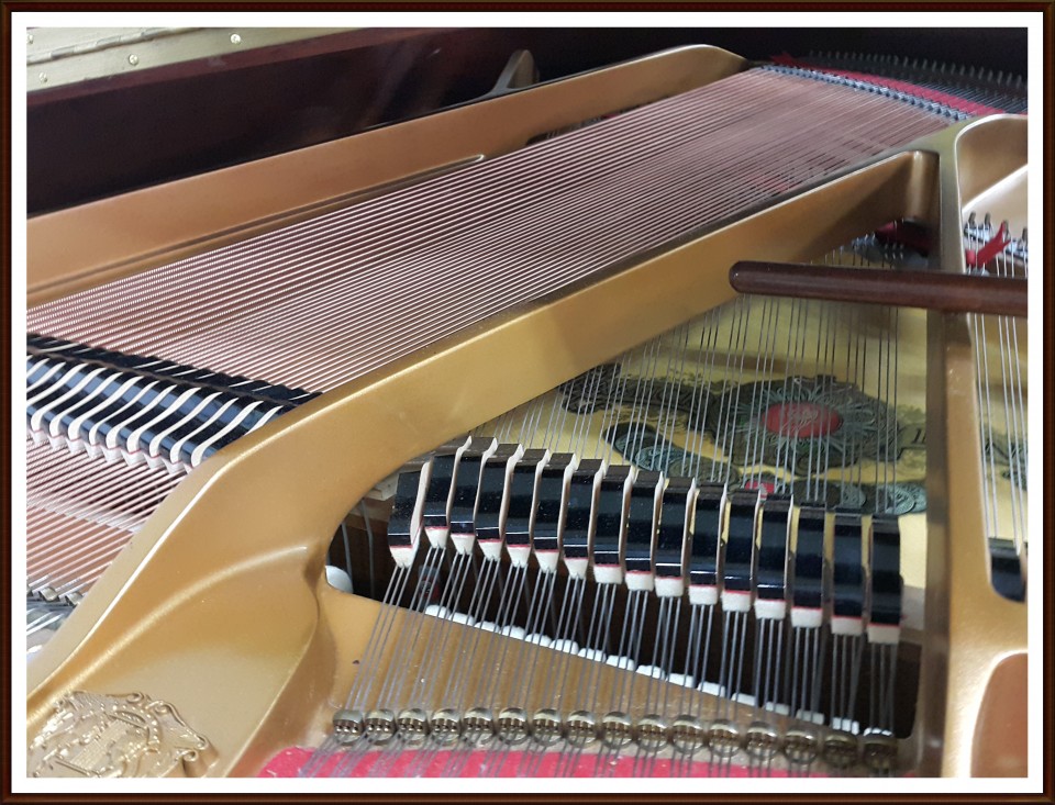 754b95de3a30cdf9de6d117c3fb2b643_1521186