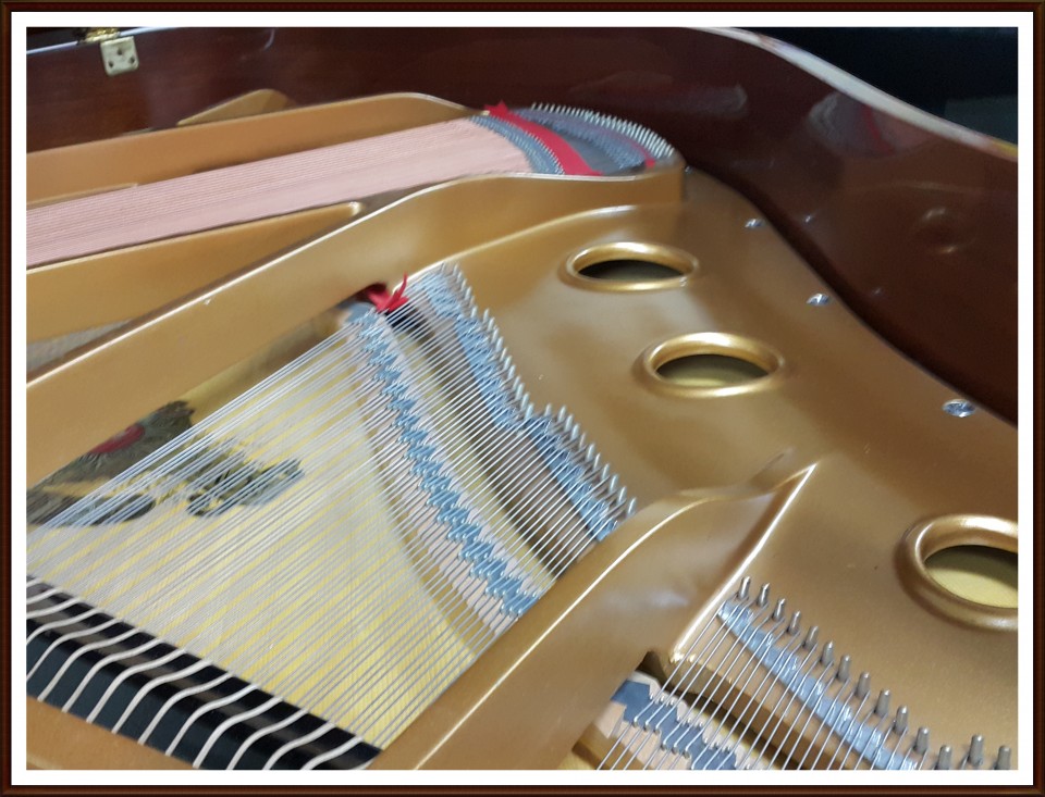 754b95de3a30cdf9de6d117c3fb2b643_1521186