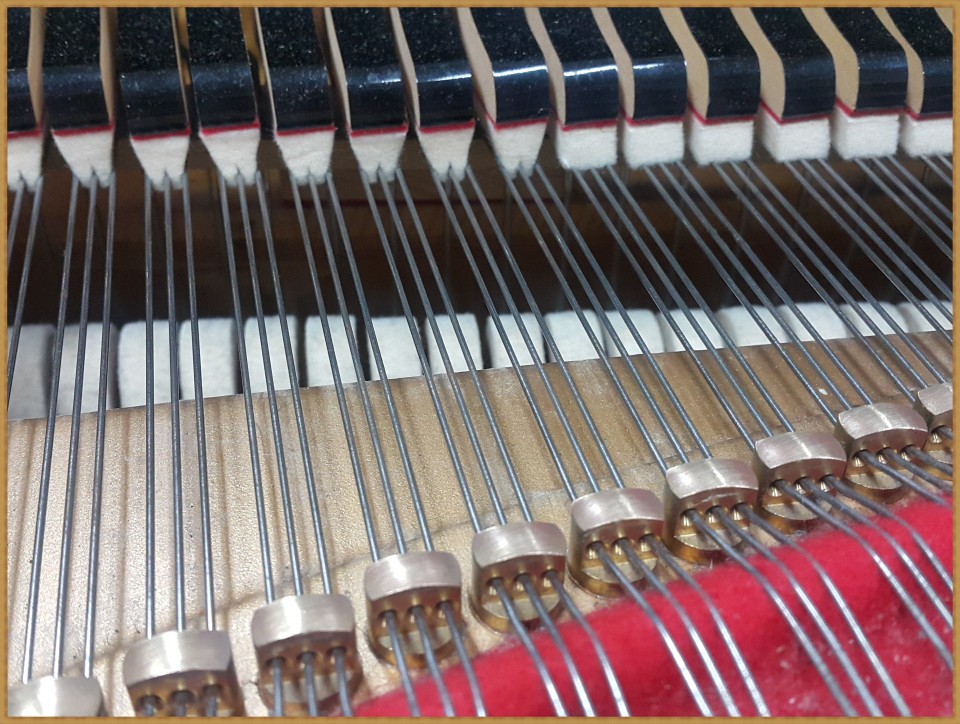 bd60eab0e40bc392380d717f42daf3e7_1524006