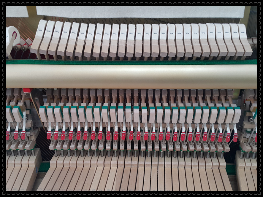 f855fefc735d05f6f6dfc2c2d94e4c6e_1526218