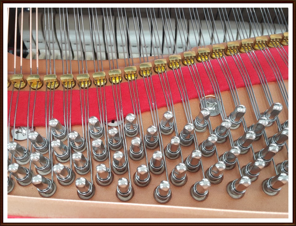 5f11113d678bab89b8c5c0bf41eeb35c_1528017