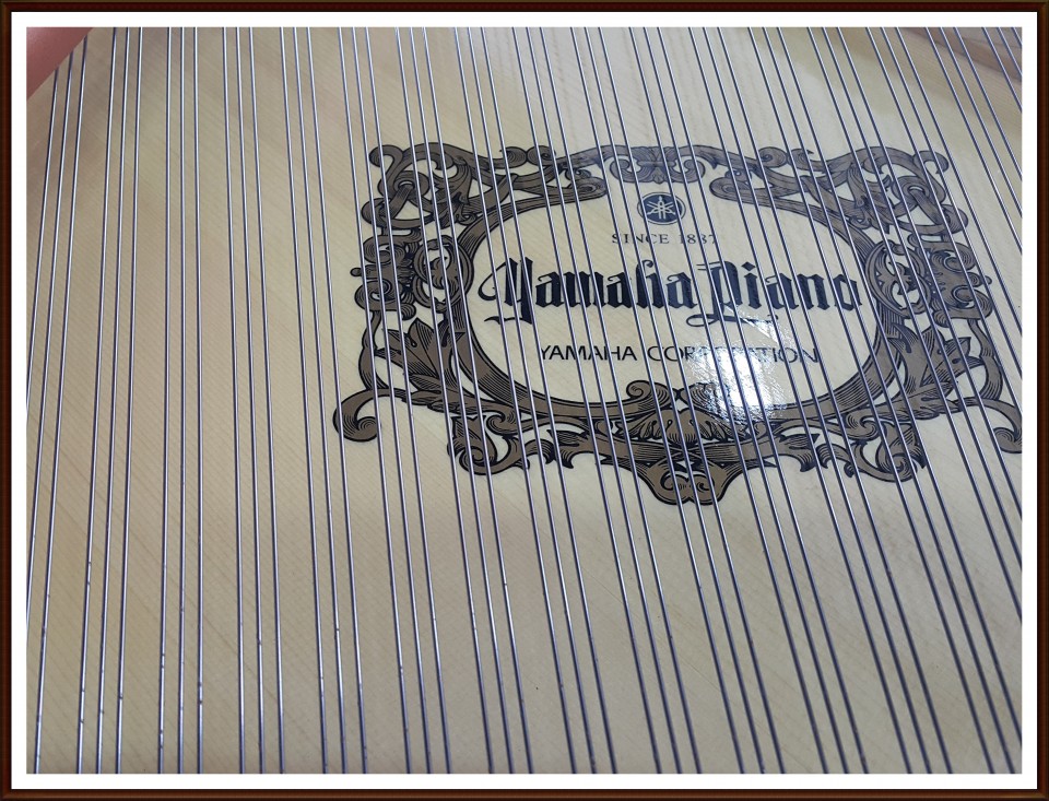 5f11113d678bab89b8c5c0bf41eeb35c_1528017