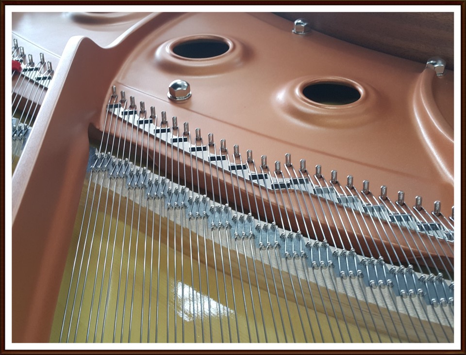 5f11113d678bab89b8c5c0bf41eeb35c_1528017