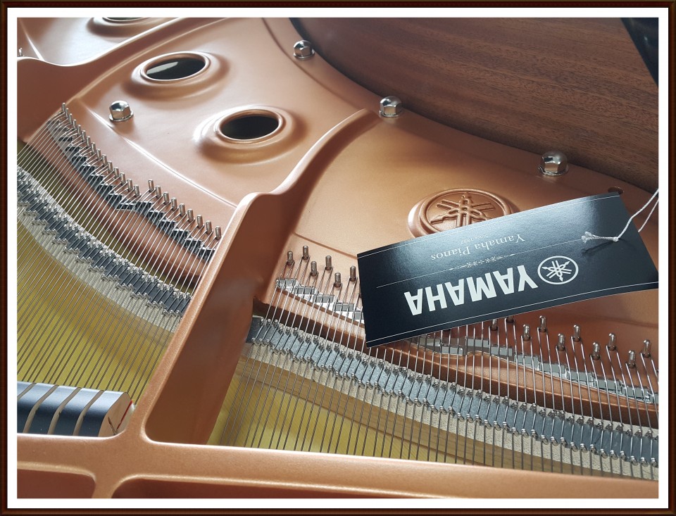 5f11113d678bab89b8c5c0bf41eeb35c_1528017