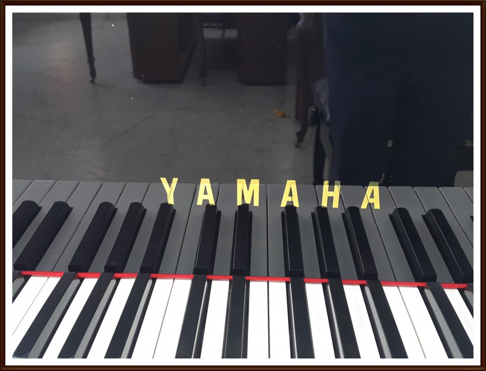 5f11113d678bab89b8c5c0bf41eeb35c_1528018