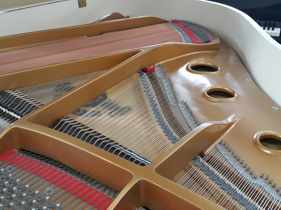 f40e0c041c9bbd74389e7ca28d4e815c_1533874