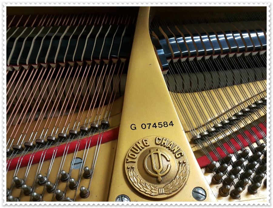 e9b905524dfeffc8b53c931e8eb1cb4f_1537009