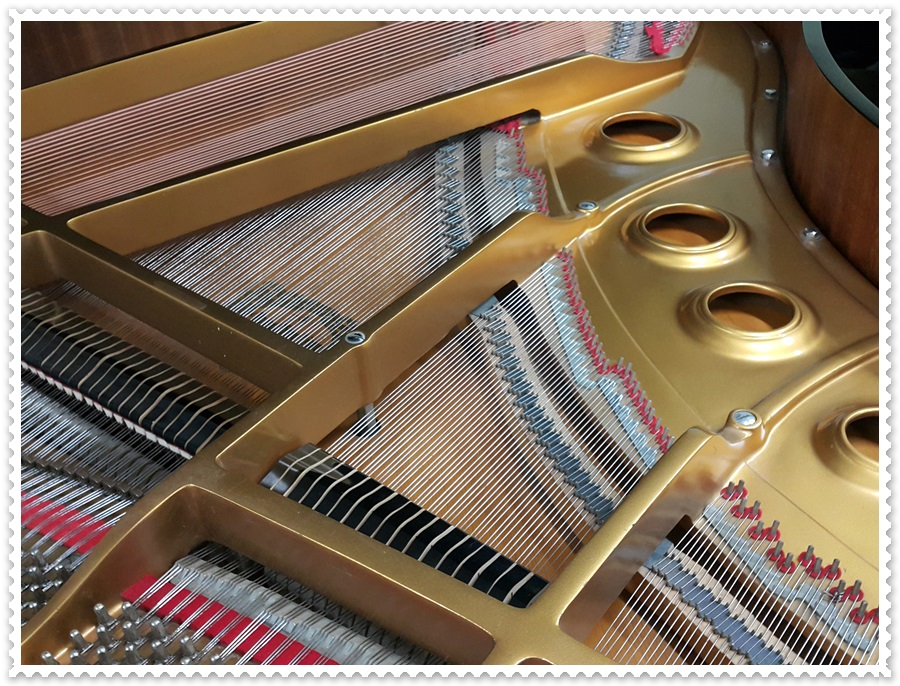 e9b905524dfeffc8b53c931e8eb1cb4f_1537009