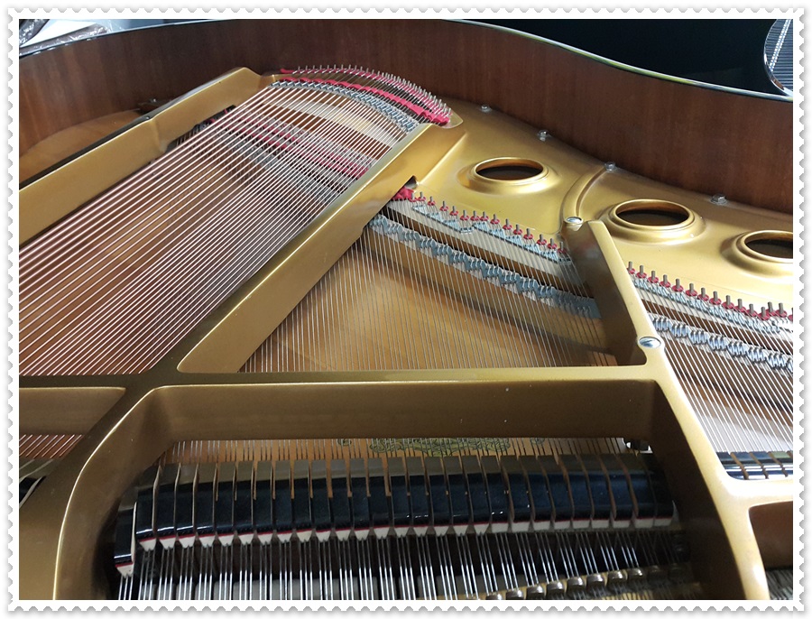 e9b905524dfeffc8b53c931e8eb1cb4f_1537009