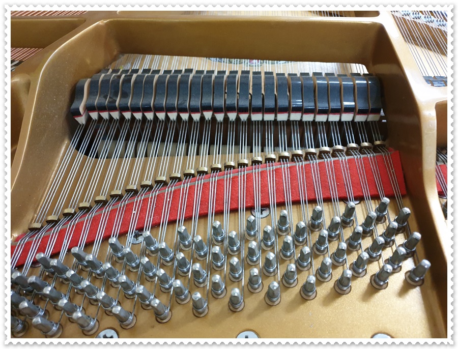 3d7aef0c0b48cee0d95757efbabd5b20_1542873751_2485.jpg 3d7aef0c0b48cee0d95757efbabd5b20_1542873