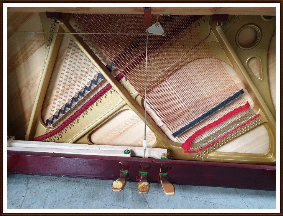 f4e6b2f5b6d8b84828b50e1d5191210c_1547269