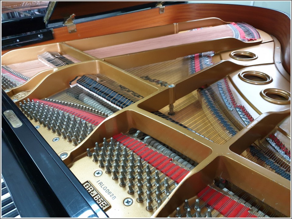 409b1c57c369484eb87e850cc71137e3_1556284