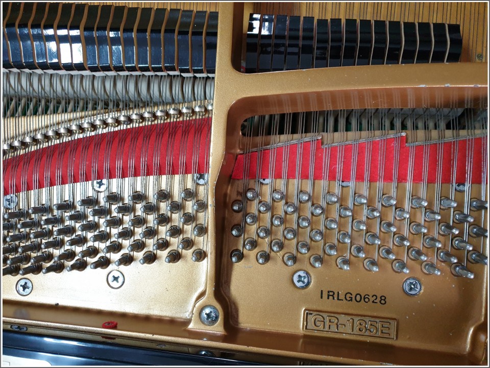 409b1c57c369484eb87e850cc71137e3_1556284